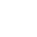 Vogler